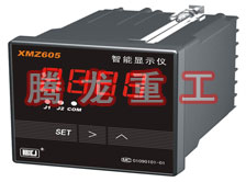 溫度表、數(shù)字顯示儀、濕度表