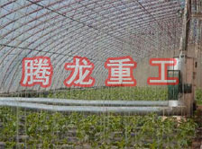 大棚花卉供暖設(shè)備、大棚卉采暖設(shè)備、大棚花卉取暖設(shè)備