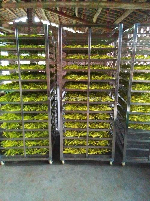 黃花菜烘干機、黃花菜烘干設(shè)備、黃花菜干燥機、黃花菜干燥設(shè)備、